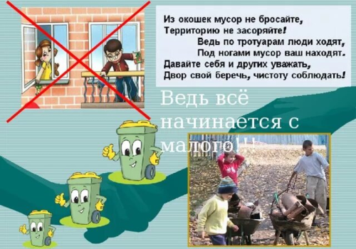«Мусорная безответственность»: кто виноват и что делать?