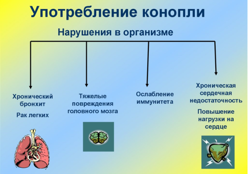 «Легкая забава»