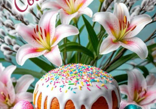 Дорогие земляки!