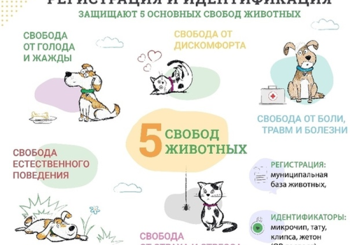 Памятка  по  регистрации  домашнего  животного