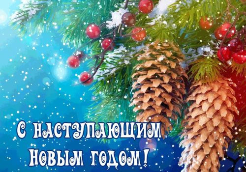 Слова благодарности