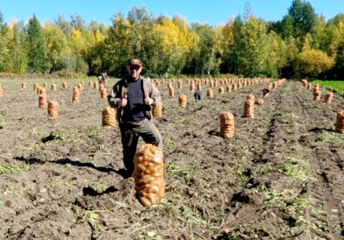 Успех начинается с трудолюбия