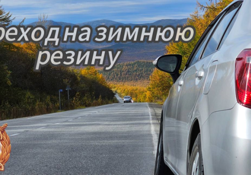 Безопасность дорожного движения