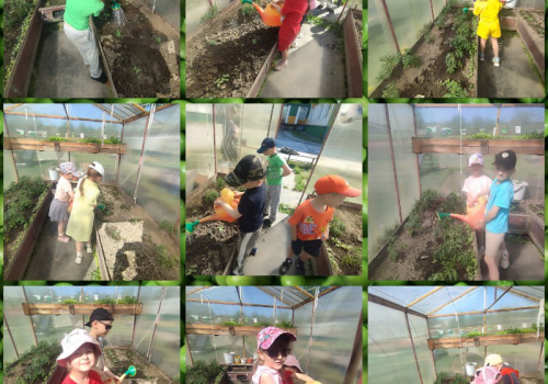 Лето в «Солнышке»: с пользой, радостью и открытием мира