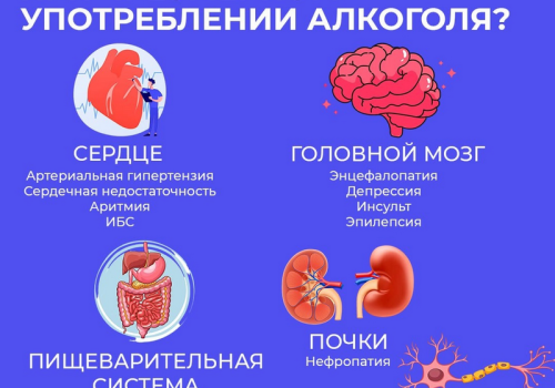 С 18 по 24 августа в России объявлена неделя отказа от алкоголя